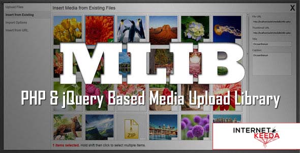 391-mLIB - PHP & jQuery based media upload library