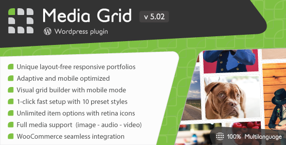 1366-Media Grid v5.02 - Wordpress Responsive Portfolio