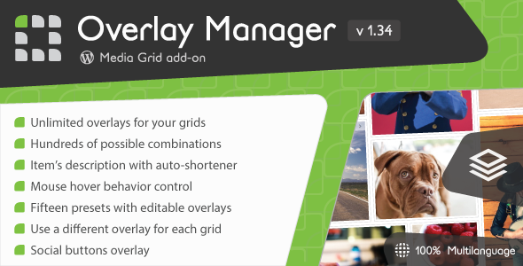 1937-Media Grid - Overlay Manager add-on v1.34