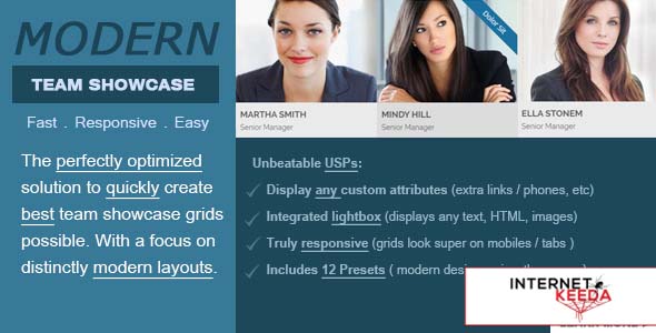 1971-Modern Team Showcase v2.5.0 - WordPress Plugin