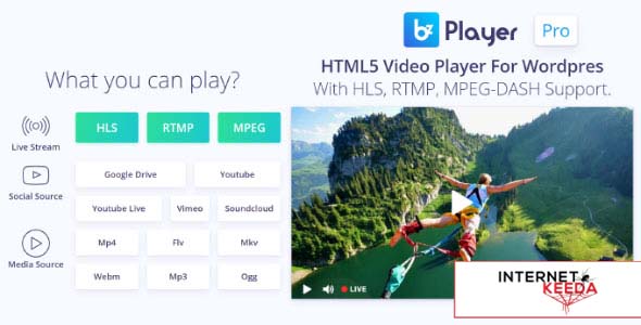 2552-bzplayer Pro v1.3 - Live Streaming Player WordPress Plugin