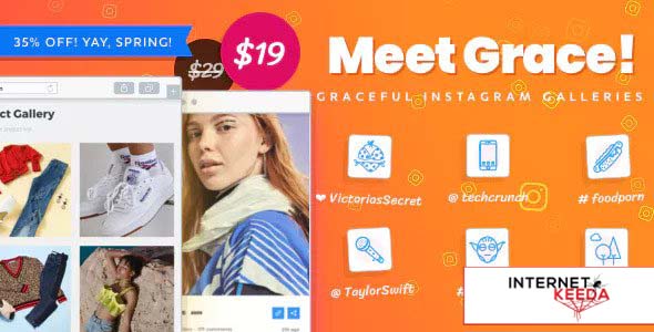 8981-Instagram Feed Gallery - Grace for WordPress v1.1.14