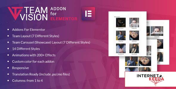 6613-Teamvision for Elementor v1.0 - WordPress Plugin