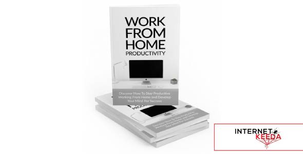 Work From Home Productivity-77393