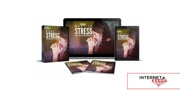 What Is Stress And How We Can Avoid It-77409