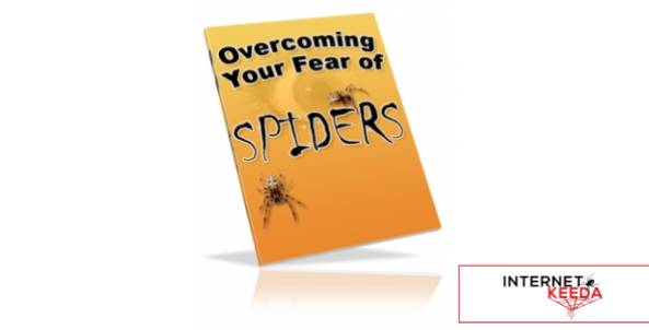 Overcoming Your Fear of Spiders-76427