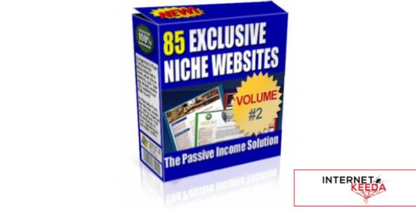 85 Exclusive Niche Websites-74471