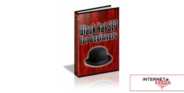 Black Hat SEO For Beginners-73473