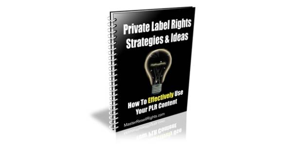 Private Label Rights Strategies & Ideas-79317