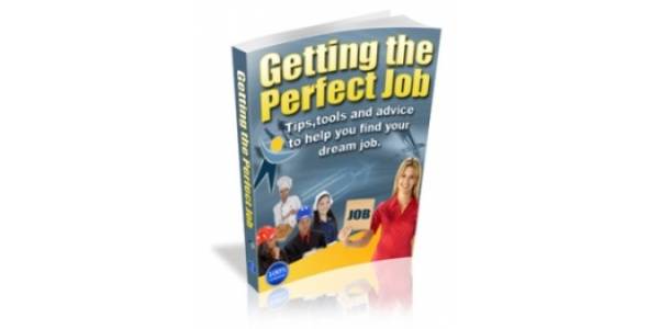 Getting The Perfect Job-79319