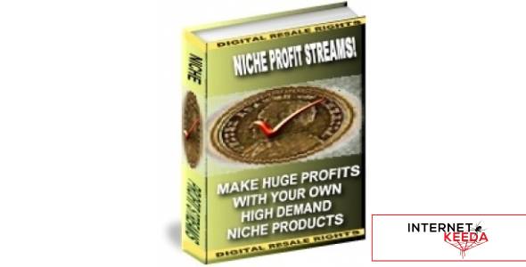 Niche Profit Streams!-73097