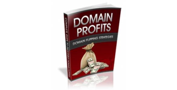 Domain Profits-78000