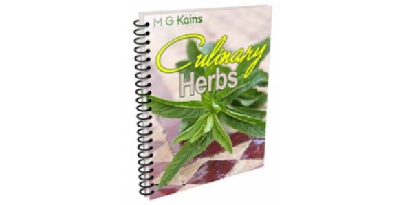 Culinary Herbs-76180