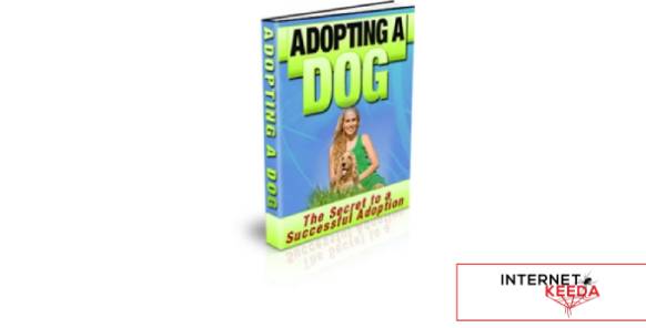 Adopting A Dog-73703