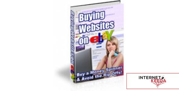 Buying Websites On eBay-78980