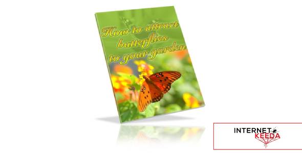 How To Attract Butterflies To Your Garden-75971