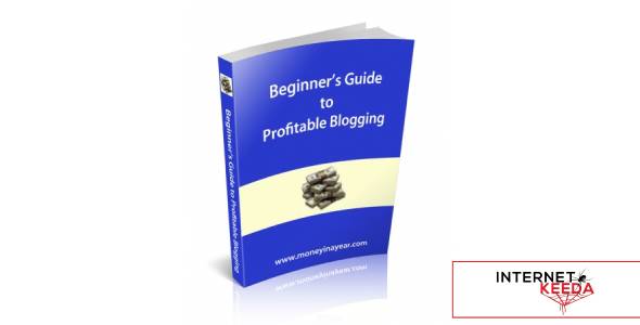 Beginner's Guide To Profitable Blogging-73978