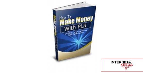 How To Make Money With PLR-79667