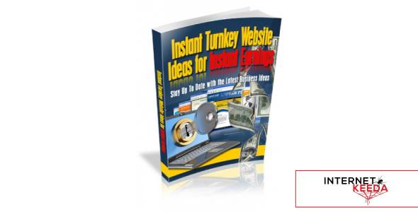 Instant Turnkey Website Ideas For Instant Earnings-74076