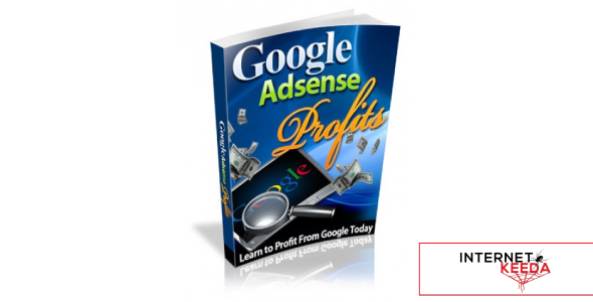 Google AdSense Profit-74215