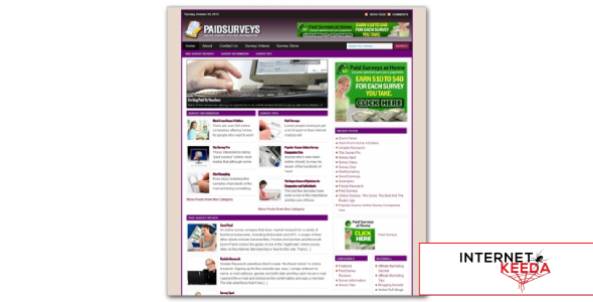 Online Paid Surveys Niche Blog-74494