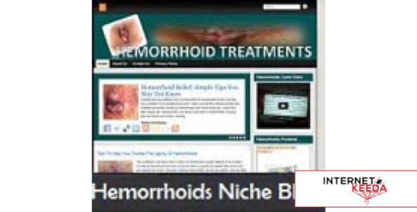 Hemorrhoids Niche Blog-71601