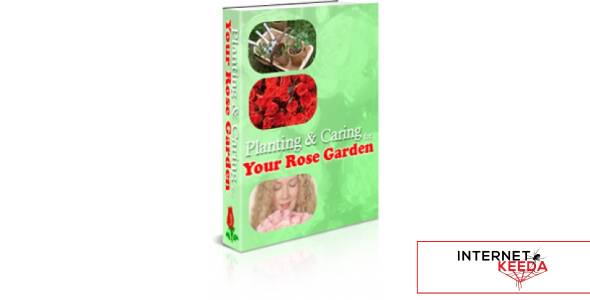 Planning & Caring Your Rose Garden-75838