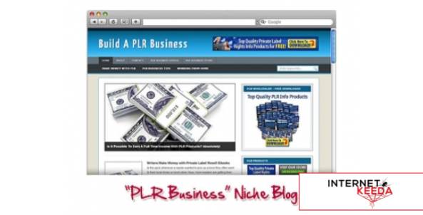 PLR Business WordPress Niche Blog-74285