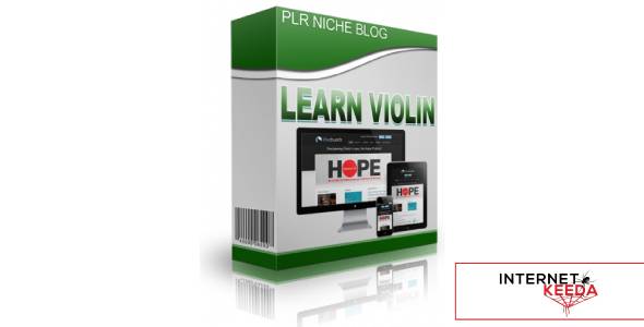 Learn Violin Niche Blog-74381