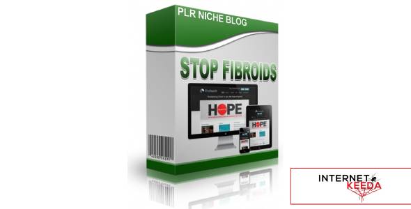 Stop Fibroids Niche Blog-74386