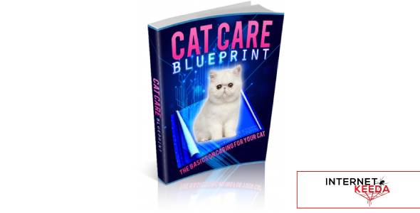 Cat Care Blueprint-78759