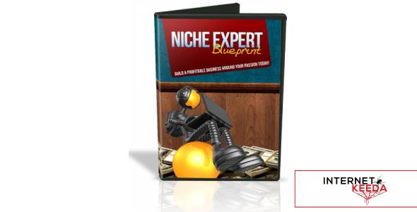 Niche Expert Blueprint-74591