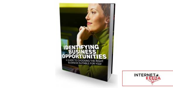 Identifying Business Opportunities-80205