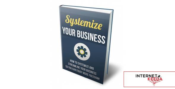 Systemize Your Business-80234