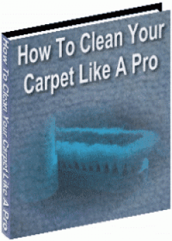 How To Clean Your Carpet Like A Pro-73018