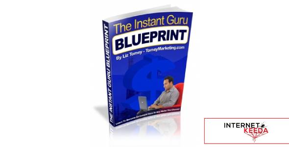 The Instant Guru BluePrint-73236