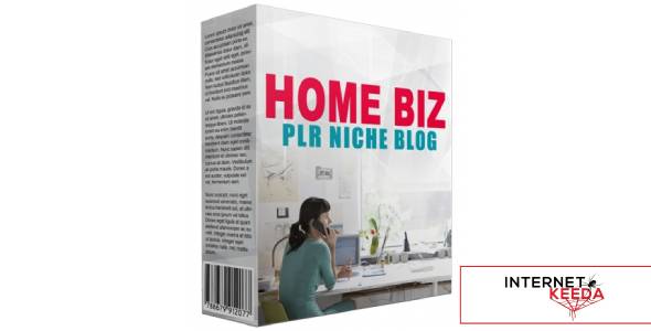 Home Biz PLR Niche Blog V2-75032