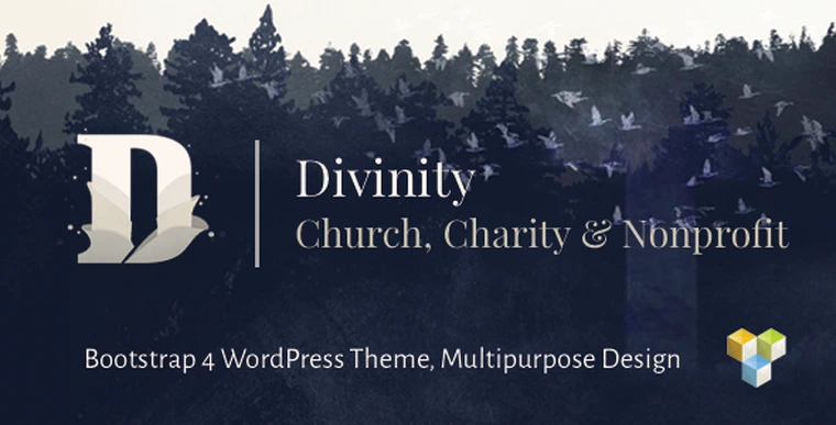 Divinity v1.3.1 - Church, Nonprofit, Charity Events Theme27897