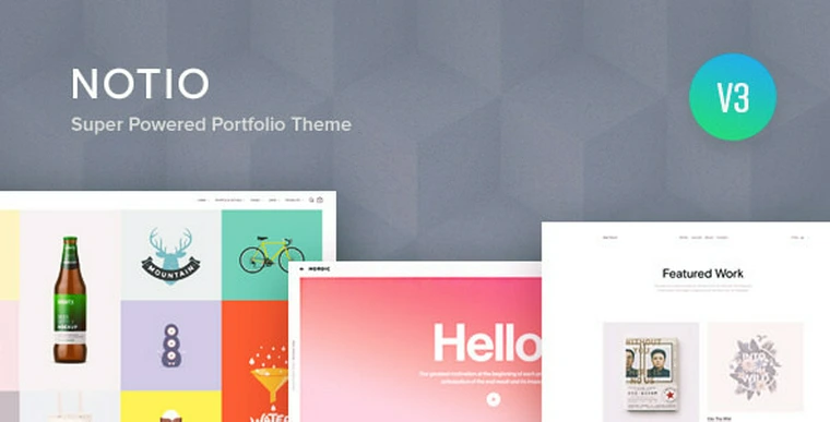 Notio v5.6.1 - Deluxe Portfolio Theme43269