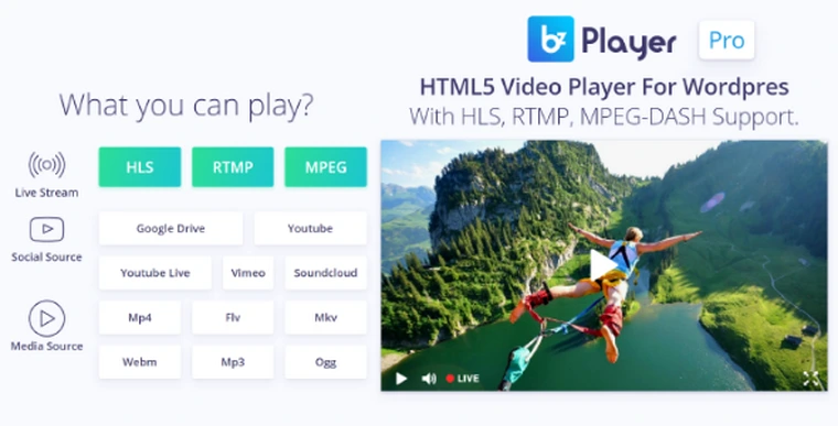 bzplayer Pro v1.3 - Live Streaming Player WordPress Plugin22988