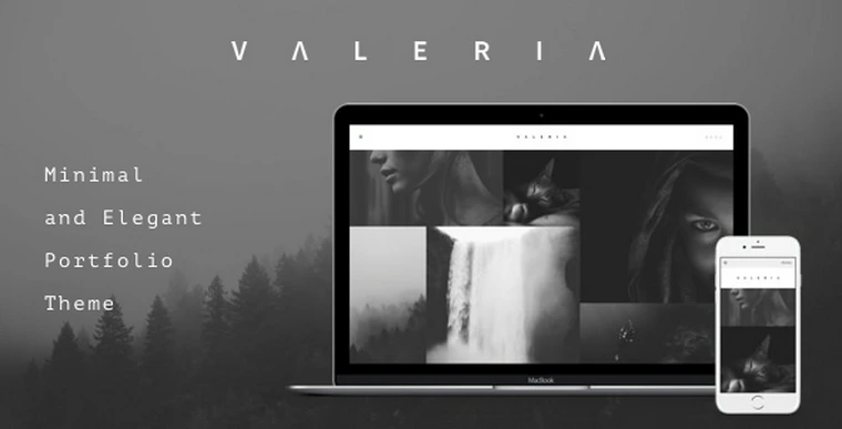 Valeria v1.1.2 - Photography WordPress Theme24521