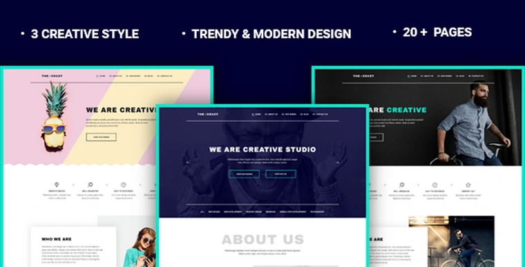 The Crazy v1.1.1 - Creative Agency WP Template23656