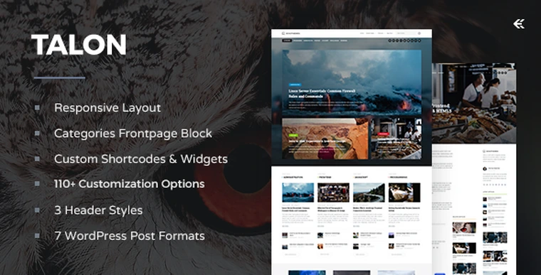 Talon v2.2.2 - Responsive WordPress Theme23497