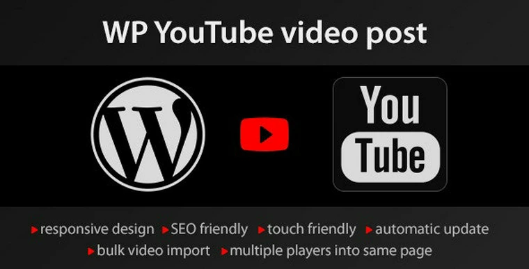 YouTube WordPress plugin v1.4.10 - video import37192