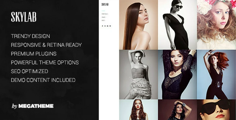 Skylab v3.0.1 - Portfolio / Photography WordPress Theme26984