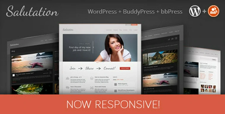 Salutation v3.0.17 - Themeforest Responsive WP + BuddyPress24988