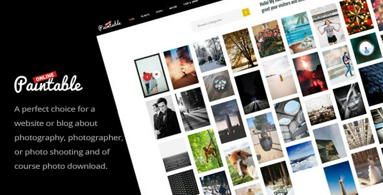 Paintable v2.2 - Photography and Blog / Photos Download Theme36272