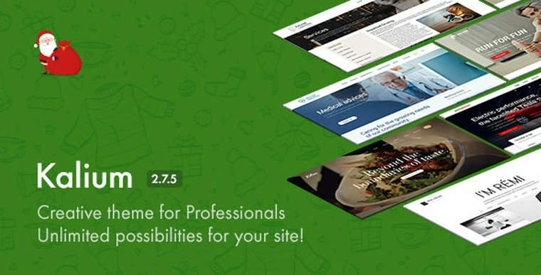 Kalium v2.7.5 - Creative Theme for Professionals27643