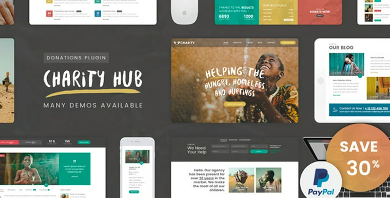 Charity Foundation v2.2 - Charity Hub WP Theme42211