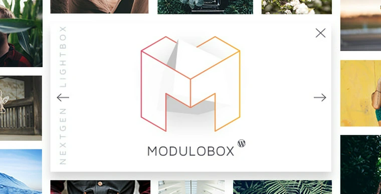 ModuloBox v1.5.0 - NextGen Lightbox Plugin for WordPress27394